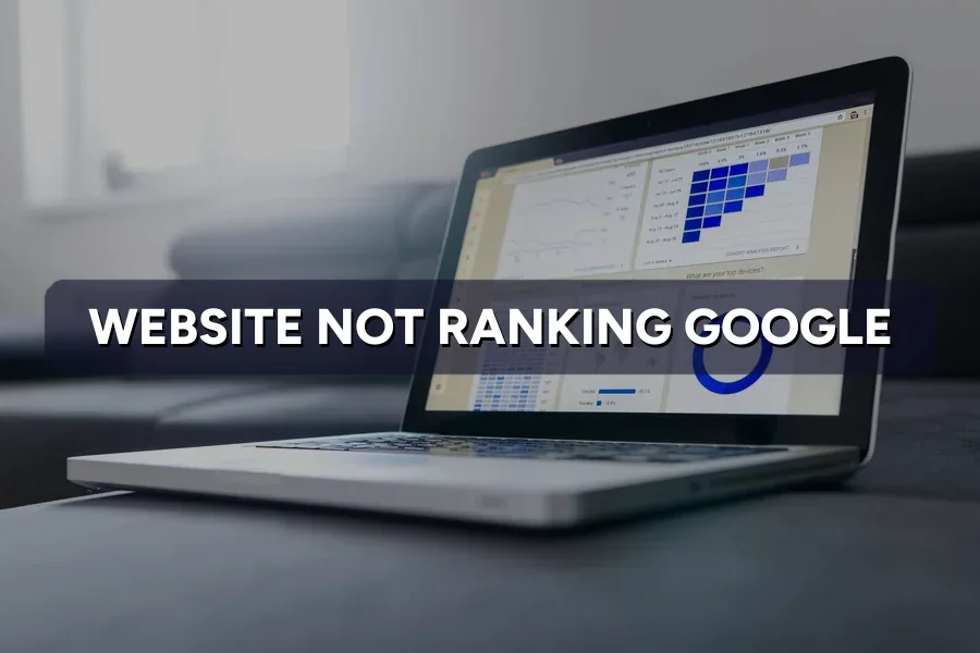Why Your Website Isn't Ranking on Google