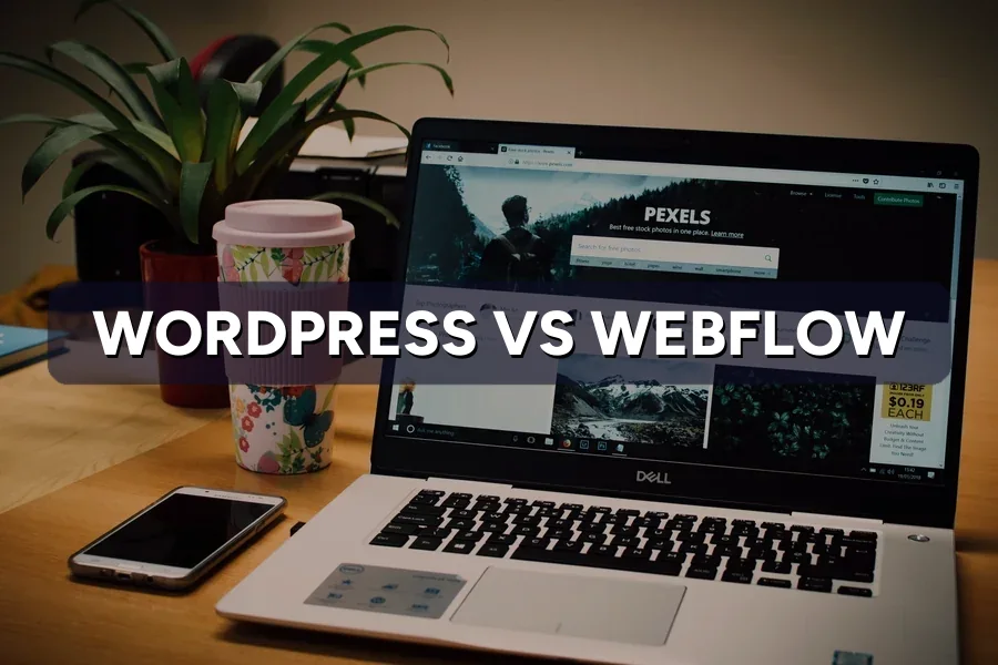 WordPress vs Webflow vs Custom Website Build