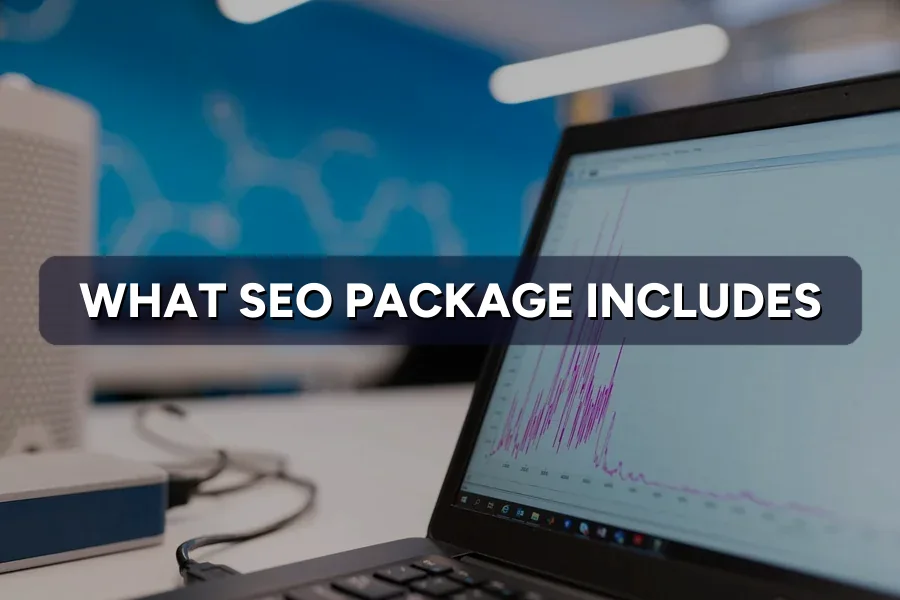 What Should an SEO Package Include in Malaysia?