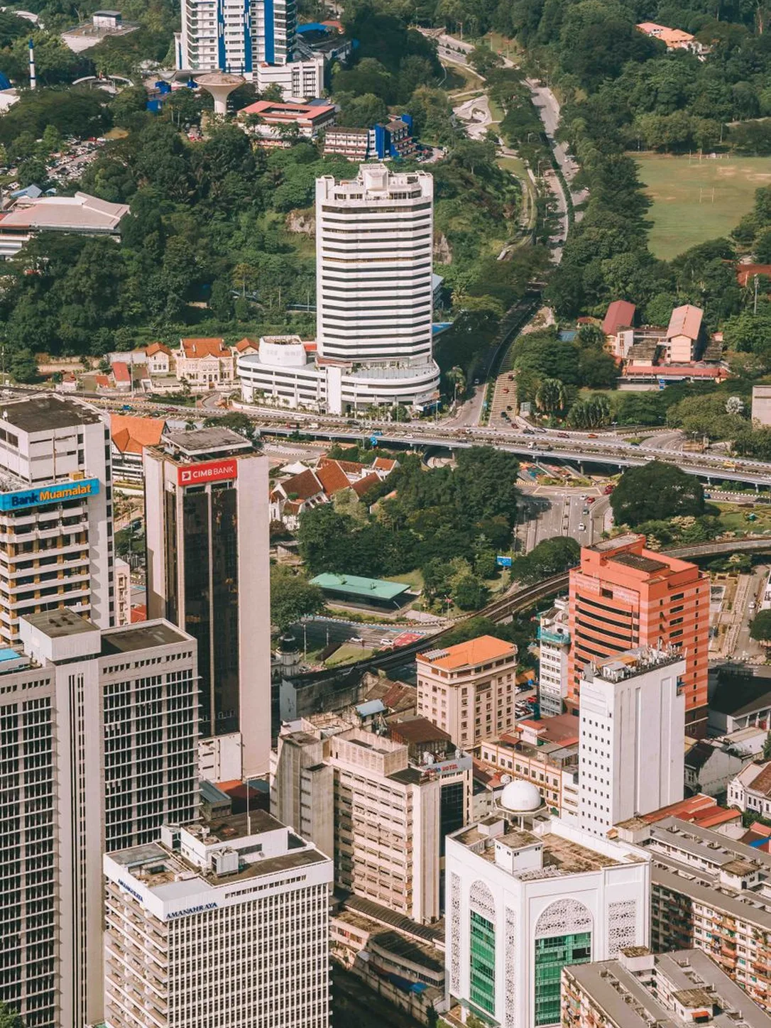 Petaling Jaya local SEO campaign case study by IZI