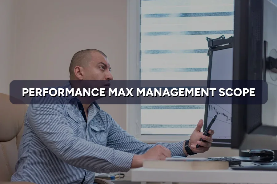Performance Max Management: Scope and Fees