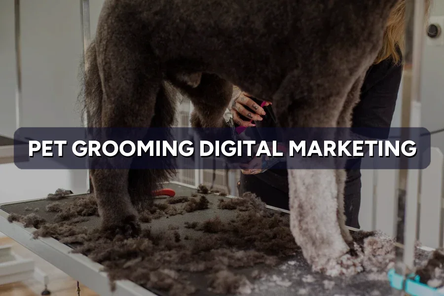 Digital Marketing for Pet Grooming in Malaysia (2026)