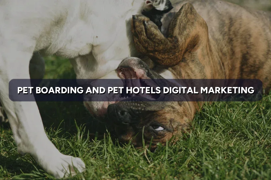 Digital Marketing for Pet Hotels in Malaysia (2026)